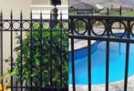 Wrought Iron Pool Fence